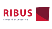 Рибус