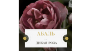 Абаль